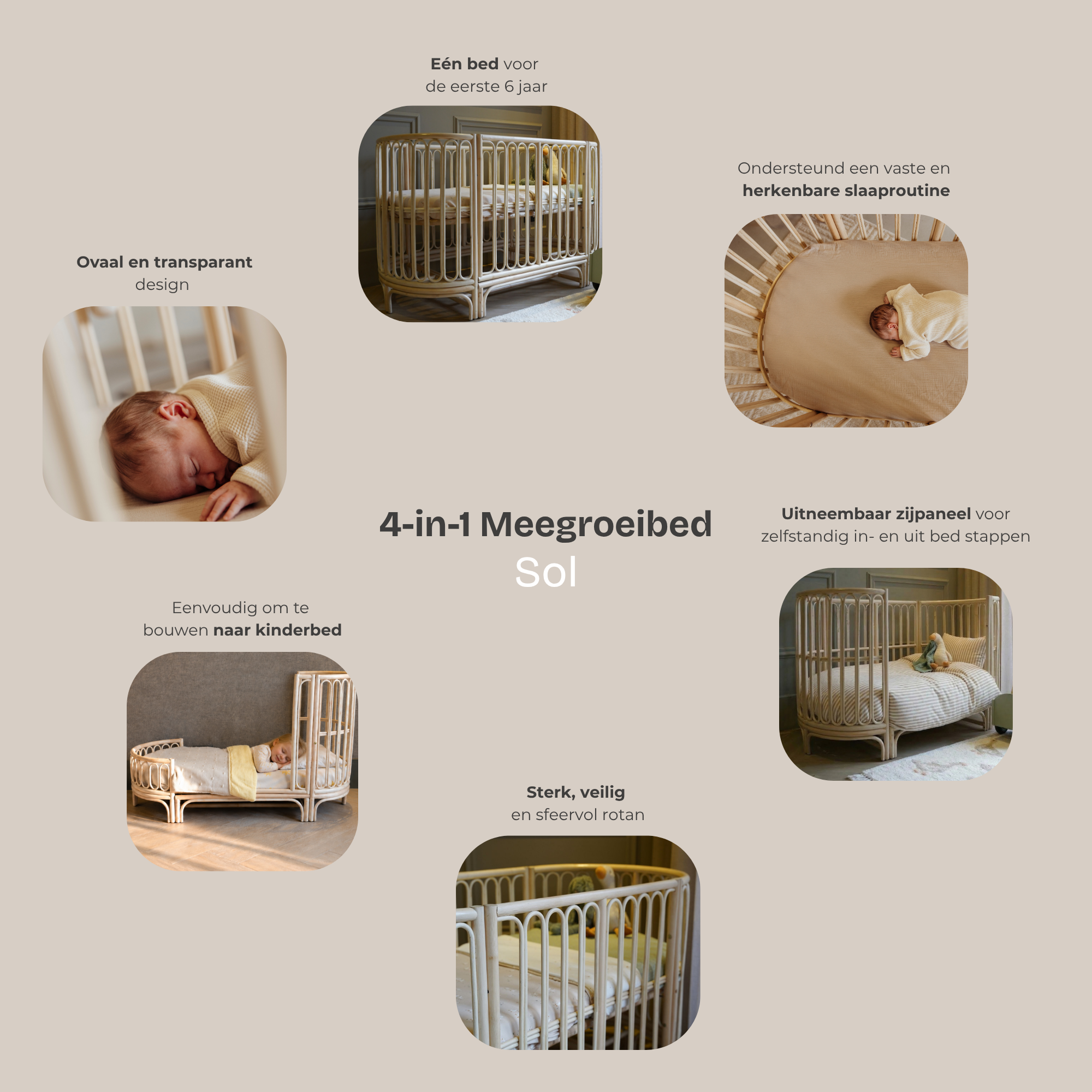 Meegroeibed rotan ovaal - Sol - 70x140  cm